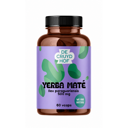 De Cruydhof Yerba Mate vegetarian capsules in a bottle, dietary supplement for energy and wellness, 60 capsules.