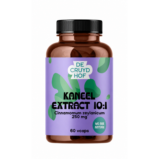 De Cruydhof Kaneel extract 10:1 vegetarian capsules, dietary supplement with cinnamon flavor in 60 softgel capsules.