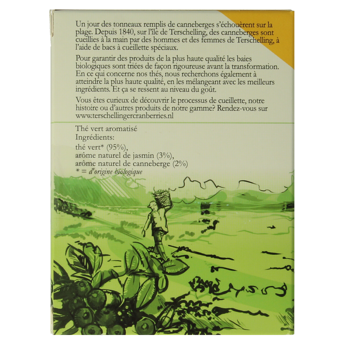 Terschellinger Groene thee cranberry bio in 18 tea bags, organic green tea with cranberry flavor from Terschellinger.