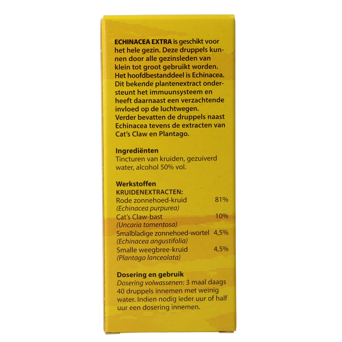 Bottle of Bloem Echinacea herbal supplement in a 100ml container, featuring botanical packaging with green and purple accents.