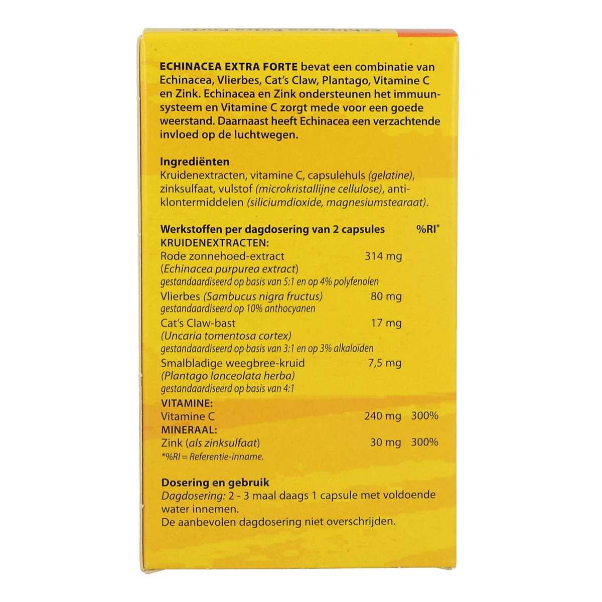 Bloem Echinacea extra herbal capsules in a bottle, part of Kruidenpreparaten supplement line, with 60 capsules.