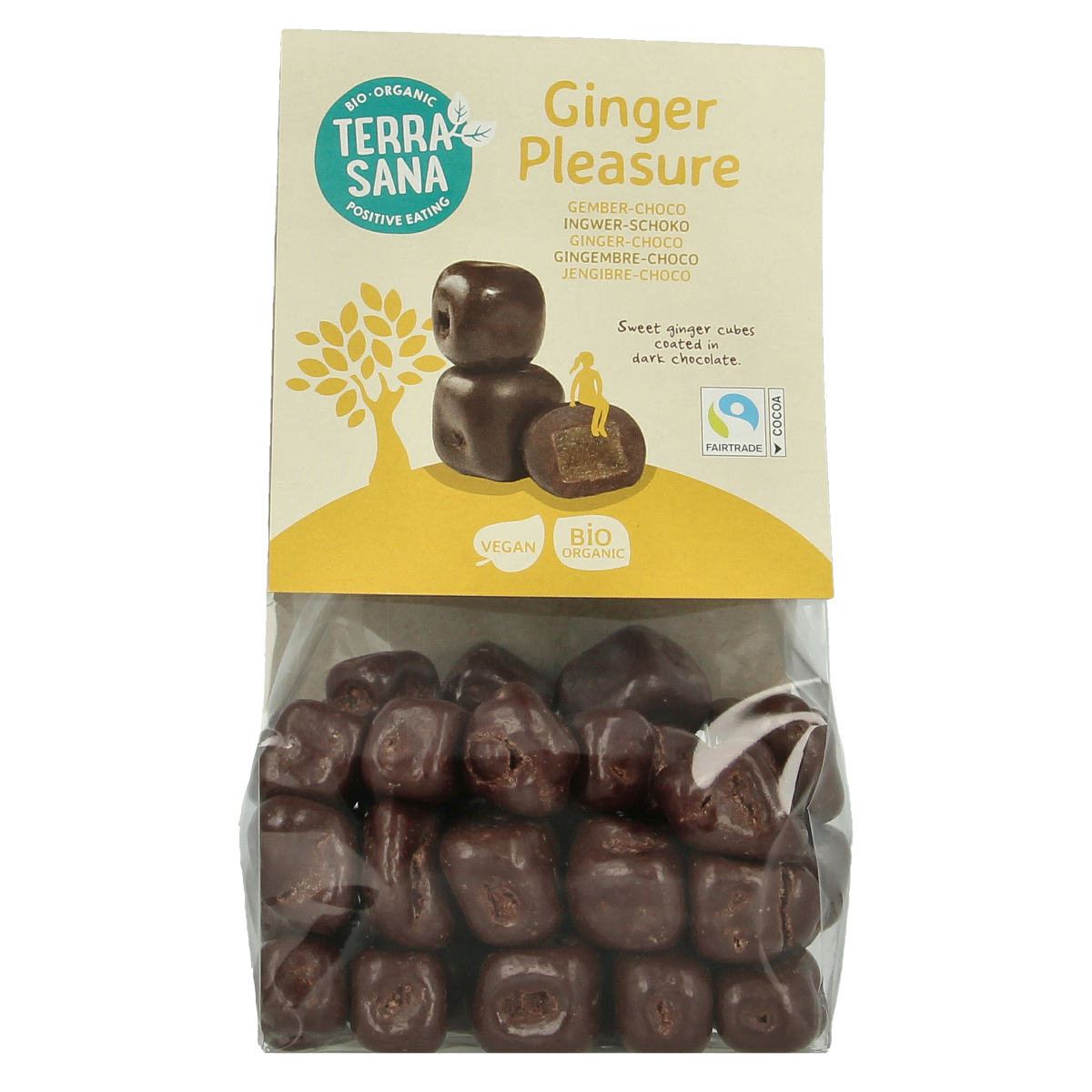 TerraSana Ginger Pleasure Choco bio, 150g, organic ginger-flavored chocolate candy in colorful packaging.