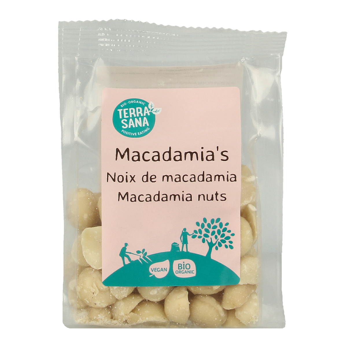 Raw TerraSana macadamianuts, shelled and organic, displayed in a 100g package, showcasing their creamy texture and natural appearance.