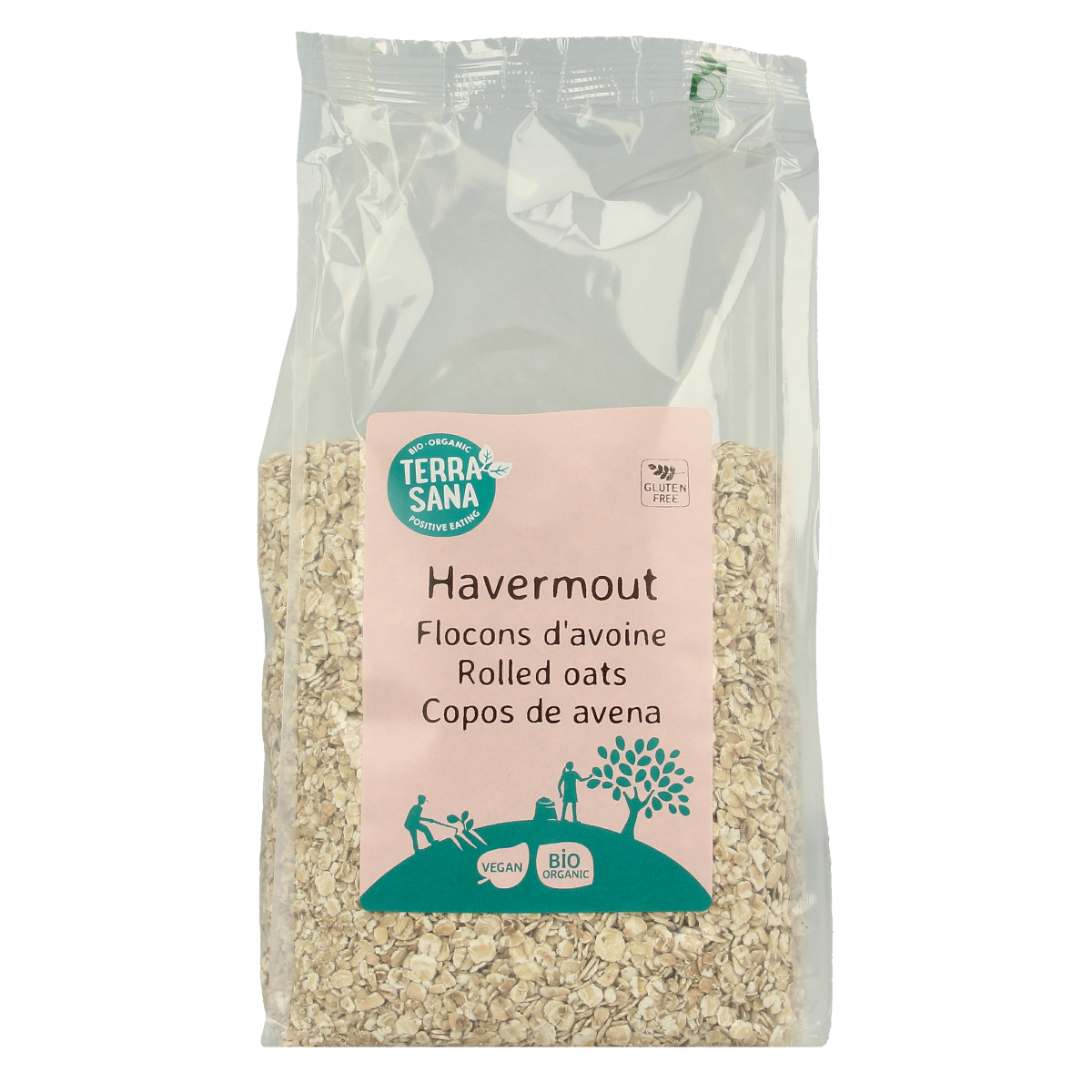 Gluten-free organic oatmeal from TerraSana in a 450g package, shown in a clear image of the breakfast grain product.