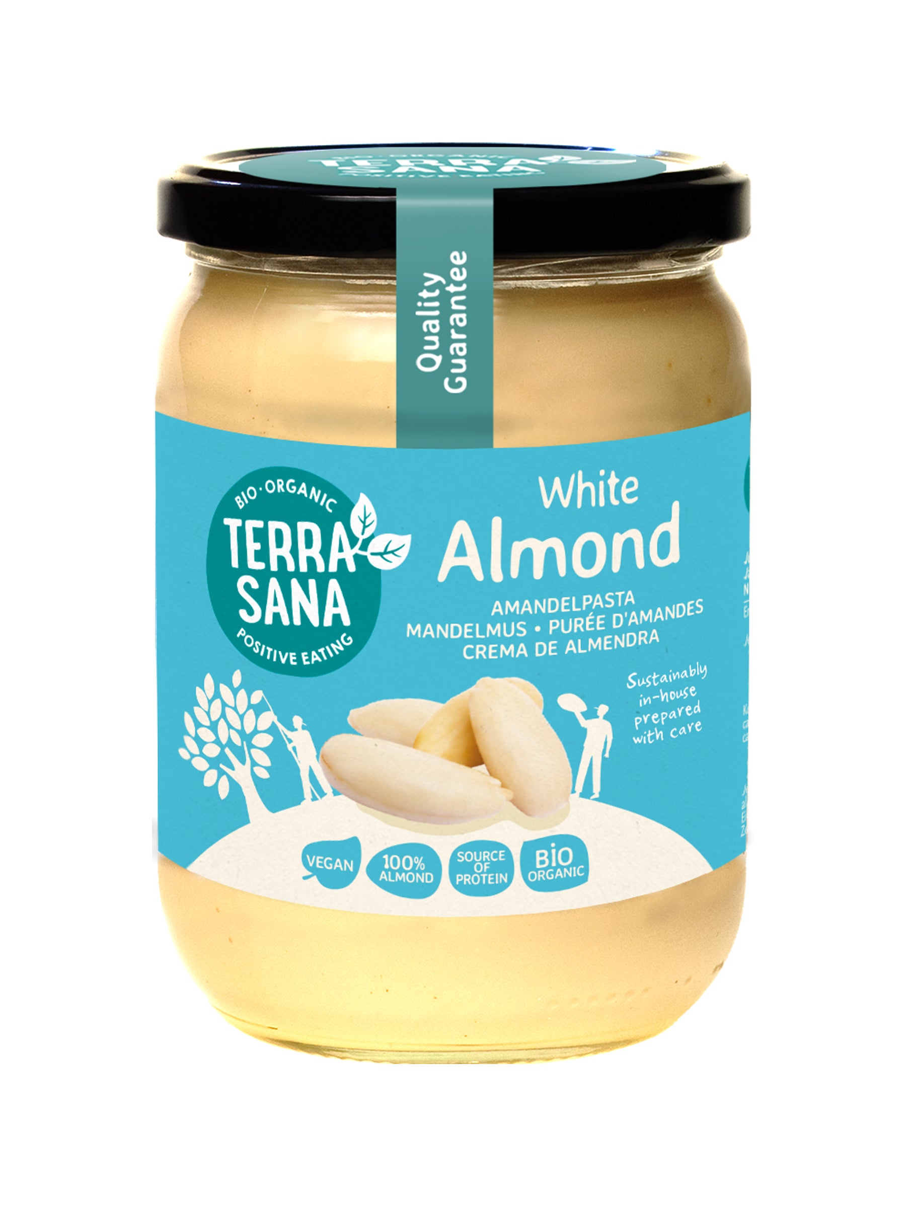 Organic TerraSana white almond butter spread on bread, 500g jar, natural almond flavor, suitable for a healthy breakfast.