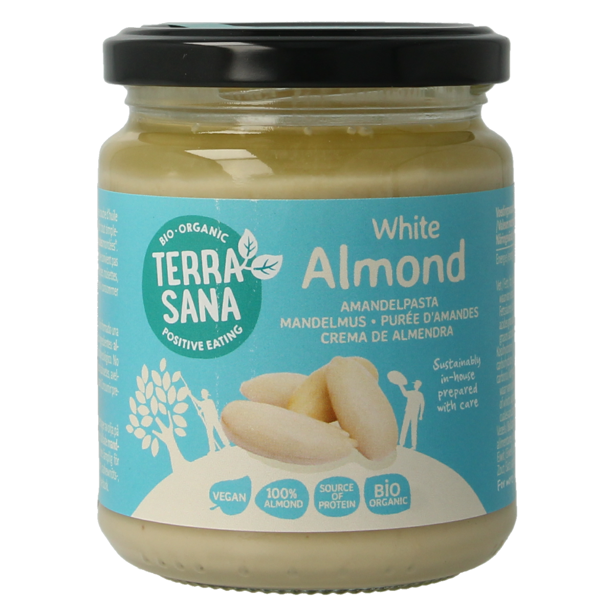 TerraSana biological white almond paste spread on bread, 250g jar, creamy almond butter for breakfast or snacks.