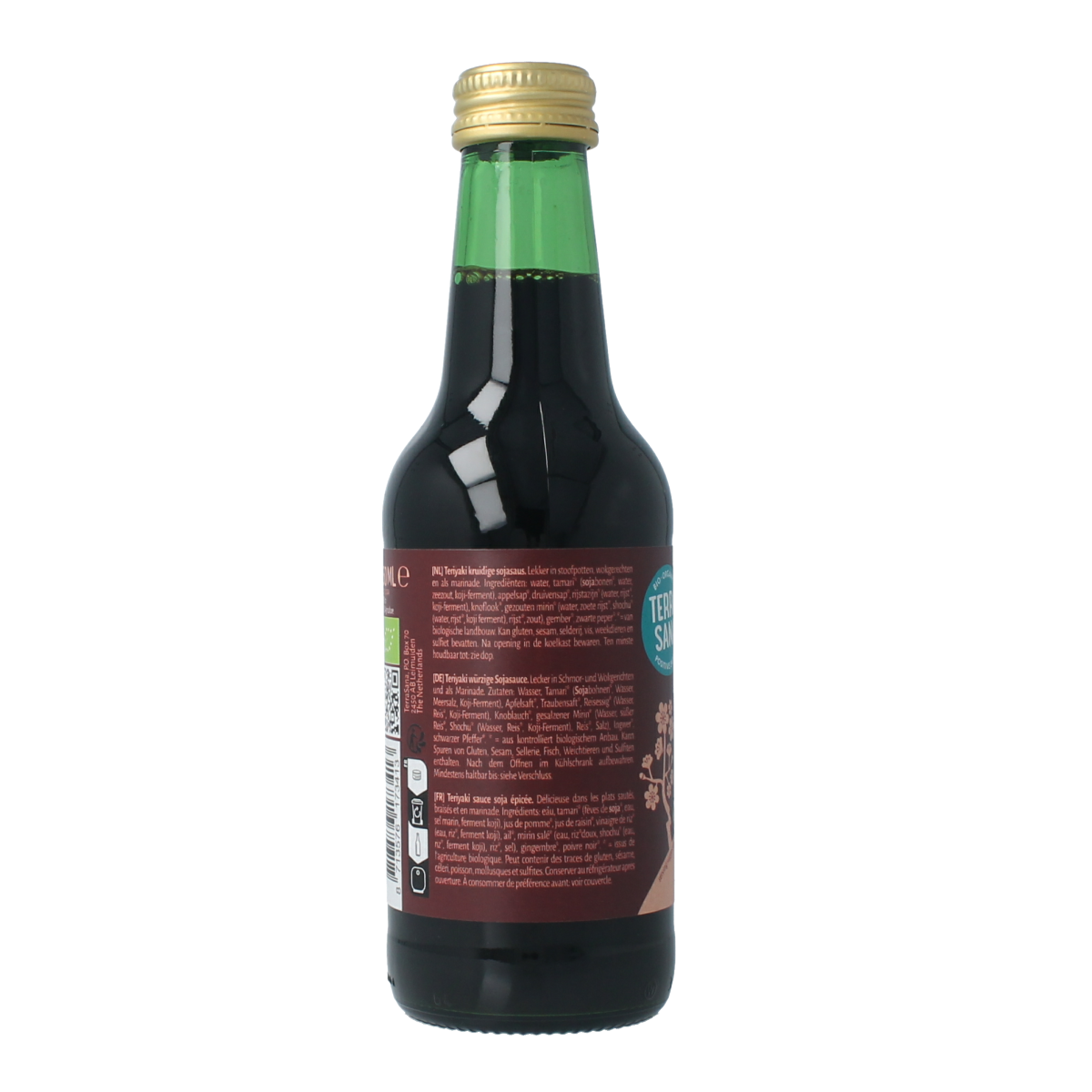 TerraSana organic teriyaki sauce in a 250ml bottle, featuring a dark, glossy appearance and label with green accents.