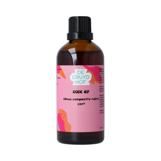De Cruydhof Ulmus campestre rubra rode iep tinctuur in 100ml bottle, herbal preparation with natural plant extract.