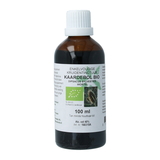 Cruydhof Kaardebol wortel tinctuur in 100ml bottle, organic herbal supplement from Cruydhof, with a dark glass tincture bottle and label.
