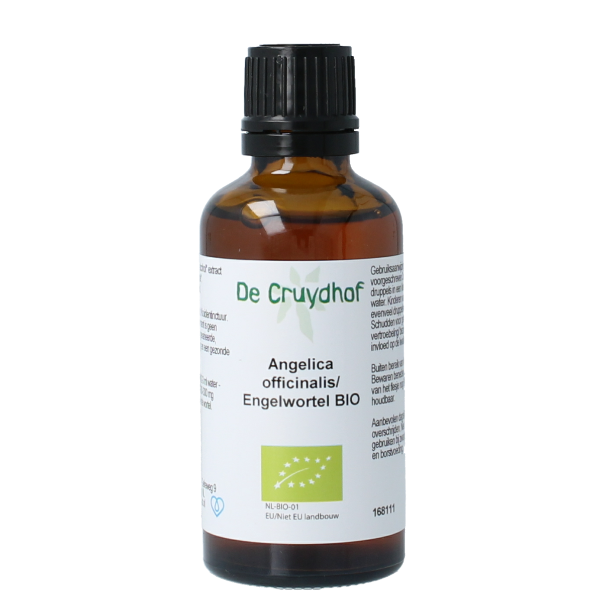 Cruydhof Angelica officinalis organic tincture in a 50ml bottle, herbal preparation with Angelica root plant image.