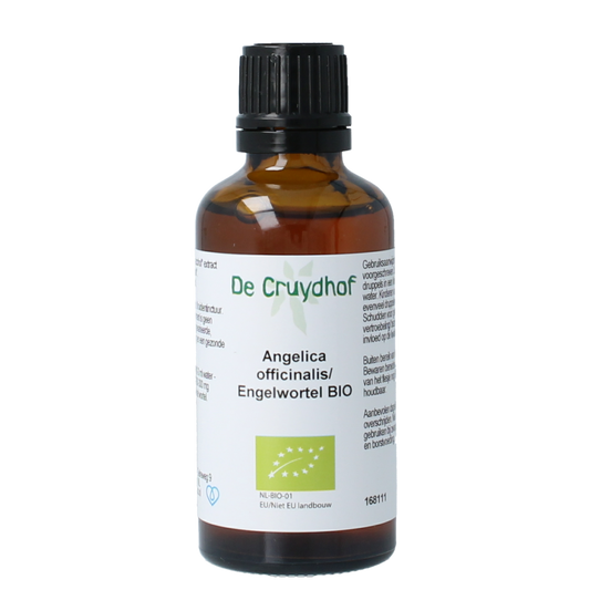 Cruydhof Angelica officinalis organic tincture in a 50ml bottle, herbal preparation with Angelica root plant image.