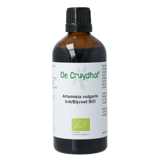 Cruydhof Artemisia vulgaris herbal tincture in a 100ml bottle, natural bio kruidpreparaat with fresh herb leaves visible.