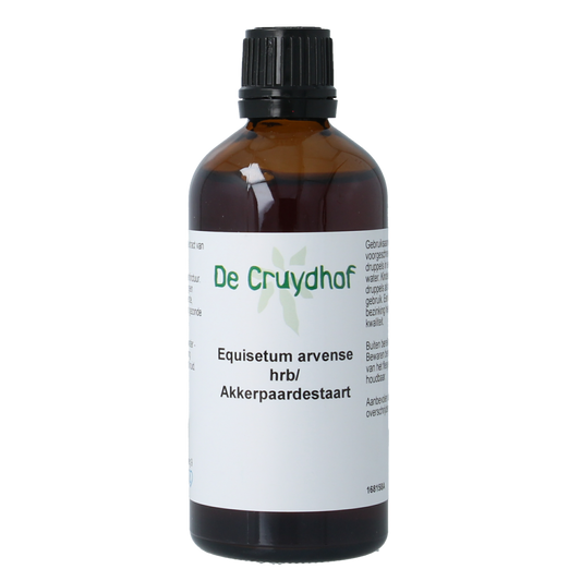 Cruydhof Equisetum arvense herbal tincture in a 100ml bottle, featuring fresh green herb with label, for herbal remedies.
