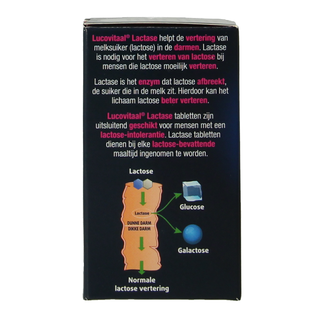 Lucovitaal Lactase 7000 FCC dietary supplement in a bottle with 60 tablets, designed to aid digestion and enzyme support