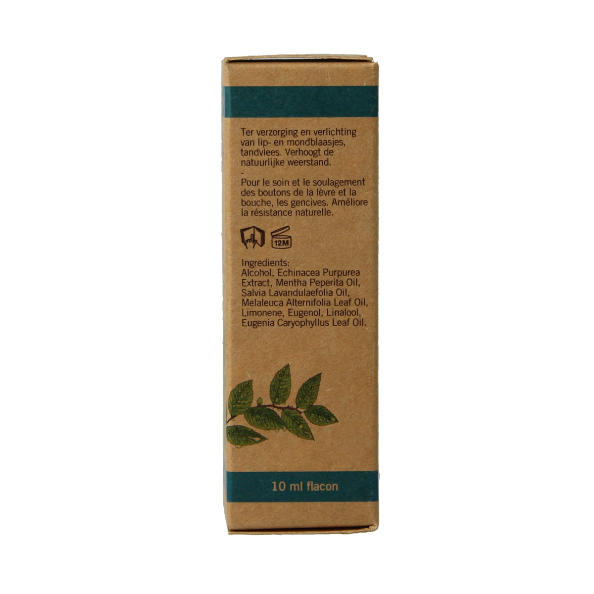 Aromed Echina lip care oil in a 10ml bottle, natural herbal lip moisturizer with Echina extract, displayed in the image.