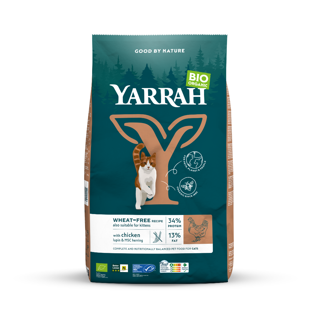 Yarrah wheat-free cat food with chicken, organic, 6000g bag, natural pet nutrition for cats.