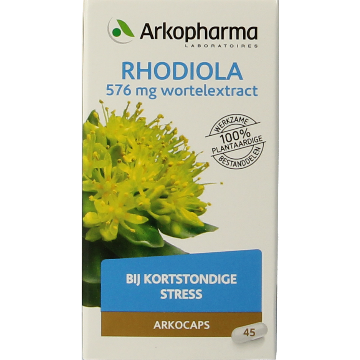 Arkocaps Rhodiola capsules in a blister pack, herbal supplement for energy and stress support by Arkocaps.
