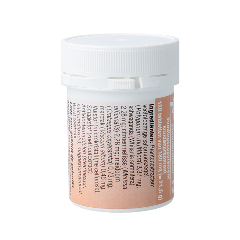 Medizimm Zatka 13 herbal supplement box with 120 tablets, natural herbal remedy product from Medizimm.