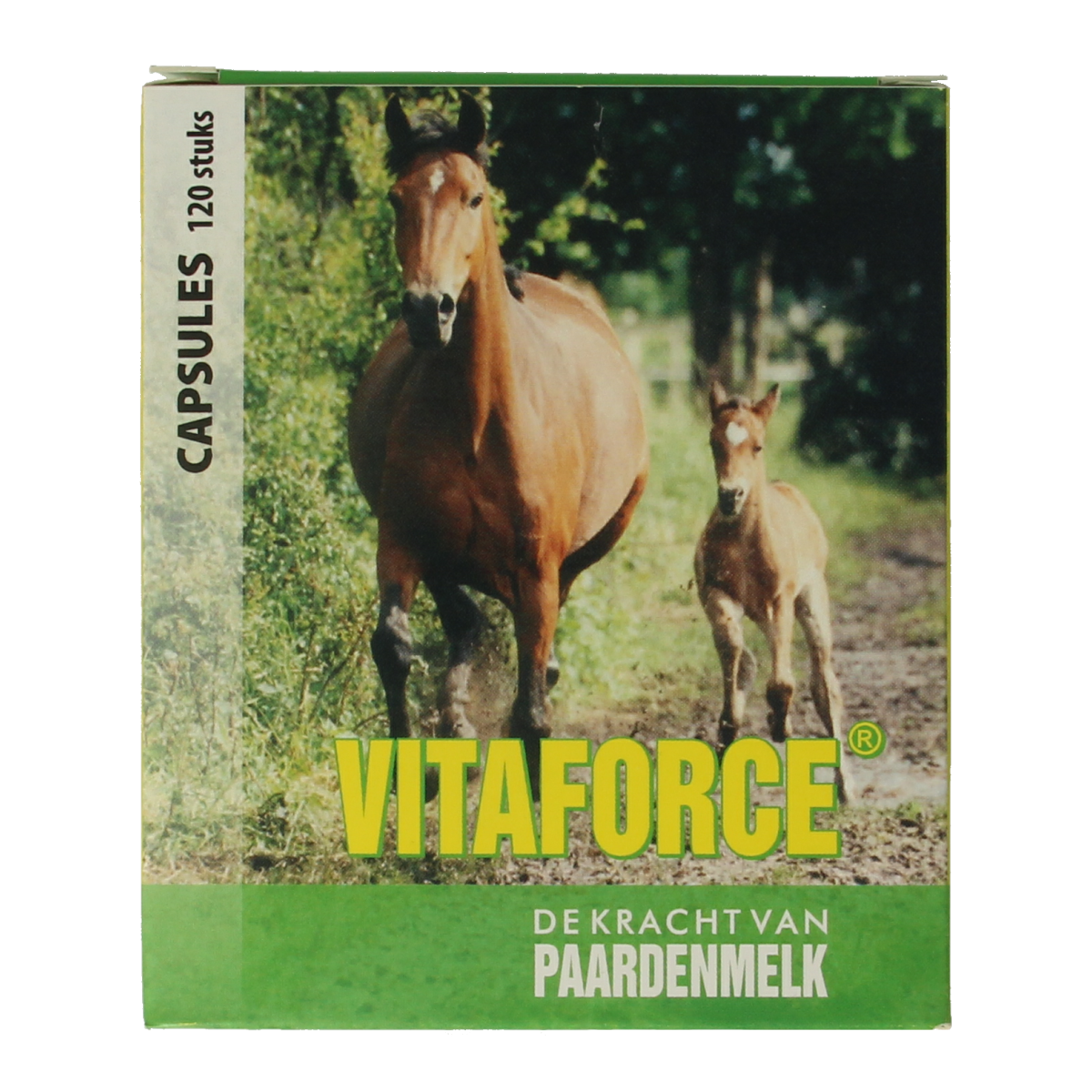 Vitaforce Paardenmelk capsules, 120-count supplement in a white container with a label showing product details and branding.