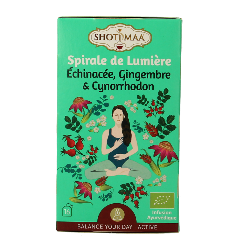 Shoti Maa Lifespring organic tea with echinacea, ginger, and rosehip in a box of 16 sachets, herbal wellness tea.