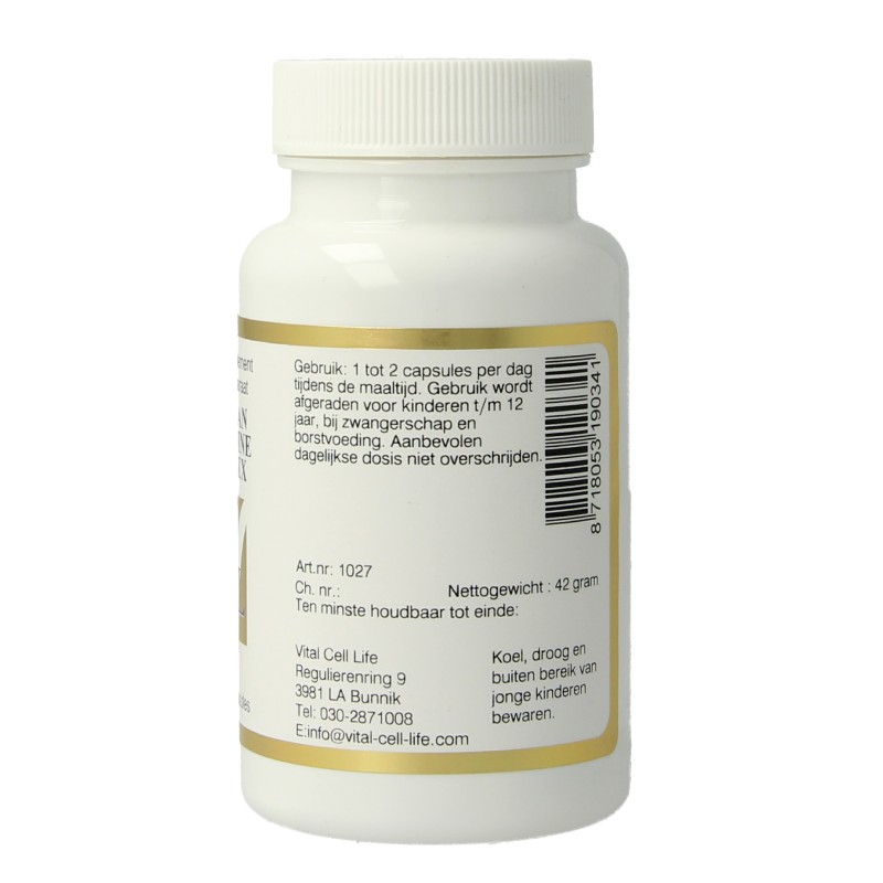 Vital Cell Life Mangaan L-Arginine complex vegetarian capsules, mineral supplement, with colorful capsules shown in the image.