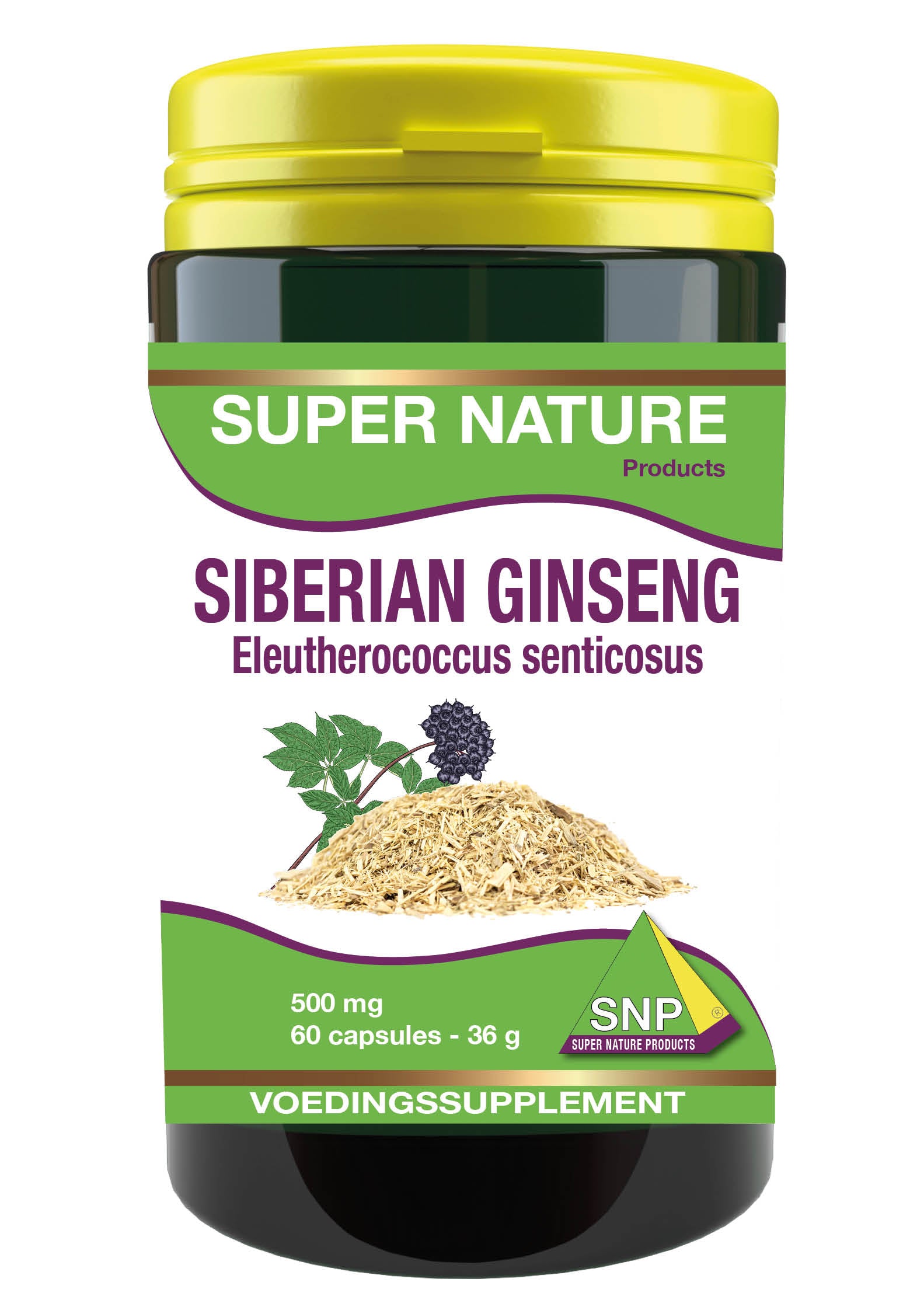 SNP Siberian ginseng 500mg capsules in a bottle, herbal supplement for energy and stamina, labeled as Kruidenpreparaten.