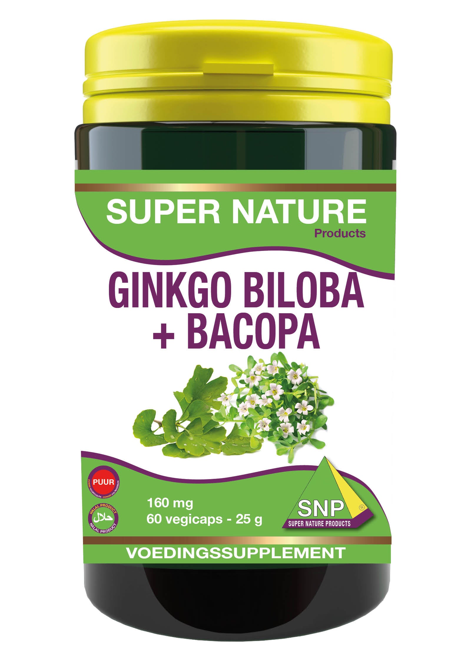 SNP Ginkgo biloba with bacopa herbal capsules in a jar, vegetarian supplement for brain health and cognitive support.