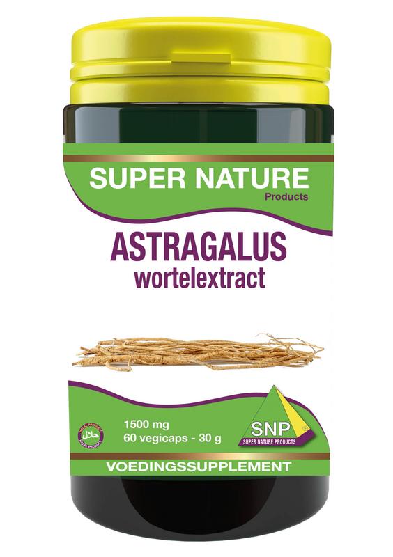SNP Astragalus Wortel Extract 1500mg vegetarian capsules, herbal supplement in a bottle with capsules visible inside