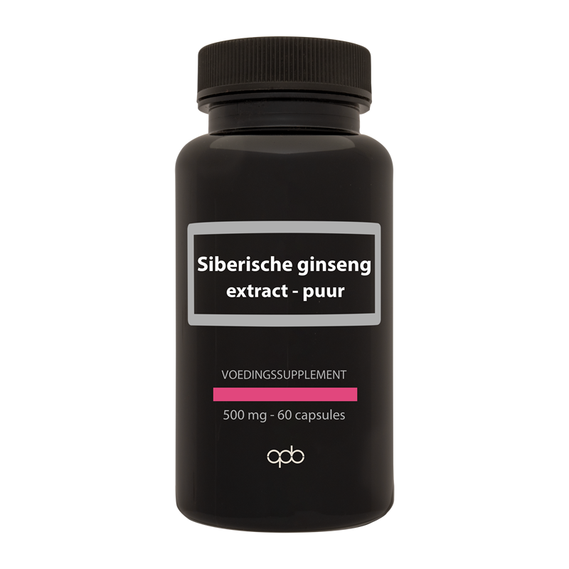 APB Holland Siberische ginseng extract puur forte 500mg vegetarian capsules, herbal supplement in a clear bottle.