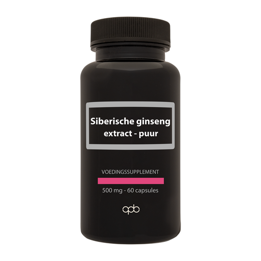 APB Holland Siberische ginseng extract puur forte 500mg vegetarian capsules, herbal supplement in a clear bottle.