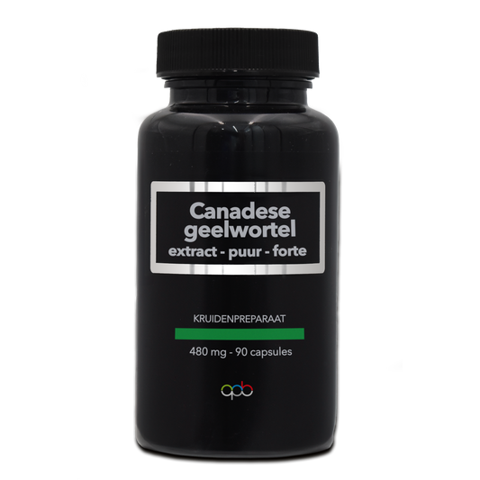 APB Holland geelwortel extract puur forte capsules, vegetarian herbal supplement, 480mg, 90 capsules, visible yellow capsules.