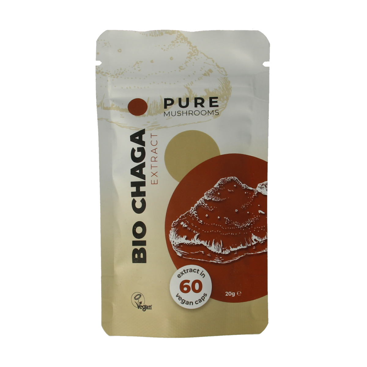 Pure Mushrooms Chaga mushroom extract in vegetarian capsules, organic herbal supplement, close-up of the product bottle and capsules.