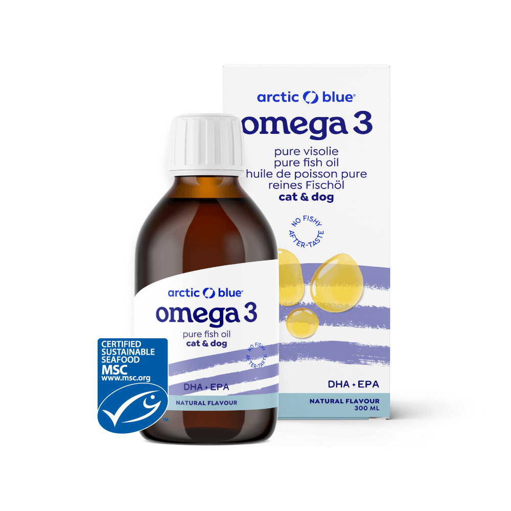 Arctic Blue Visolie DHA EPA hond supplement in 300ml bottle, featuring blue-colored fish oil for pet health.