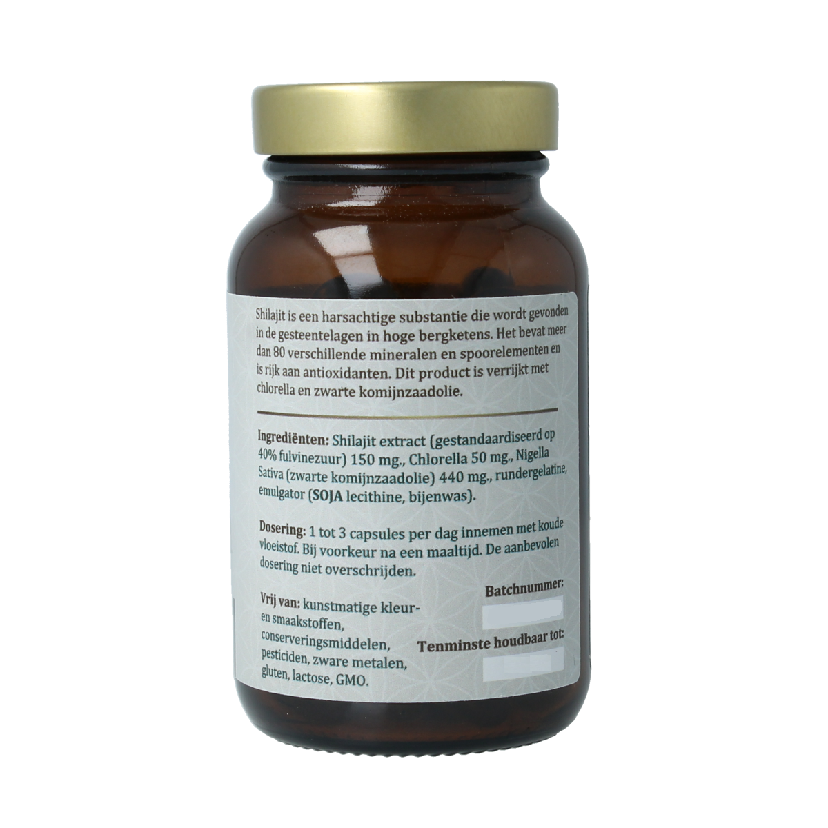 Vita Botanica Shilajit herbal supplement capsules in a bottle, dietary supplement for wellness and vitality.