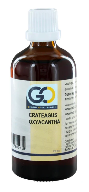 Bottle of GO Crataegus oxyacantha bio herbal supplement, 100 milliliters, in a clear glass container with label.