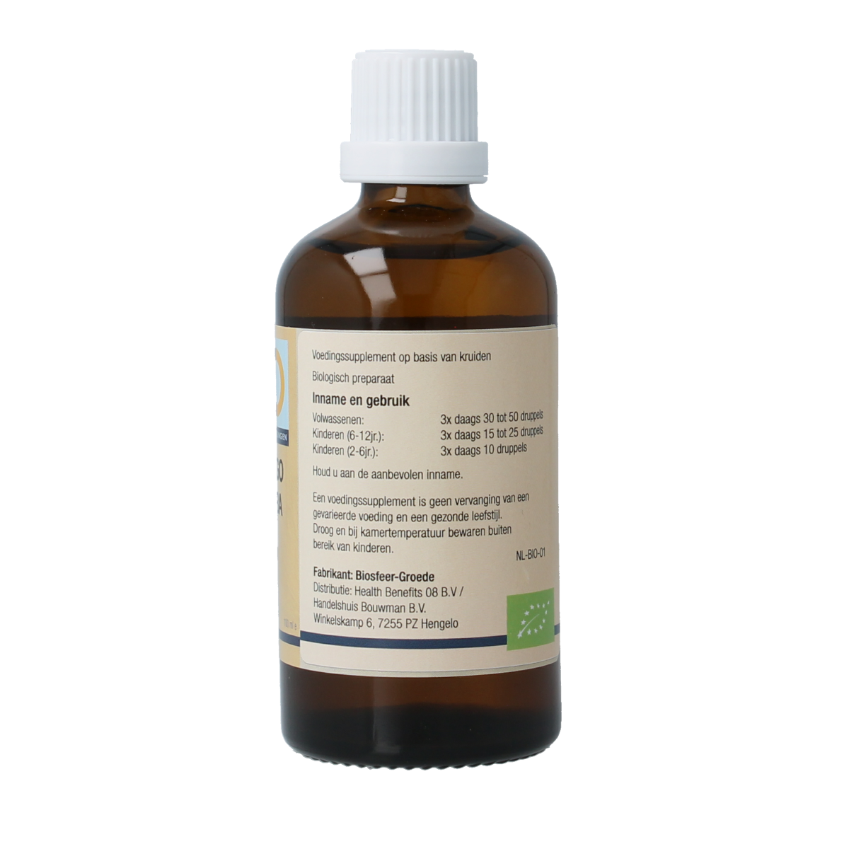 GO Ginkgo biloba bio herbal supplement in 100ml bottle, featuring fresh ginkgo leaves and natural herbal preparation.