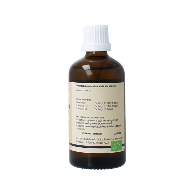 GO Tamarix gallica bio herbal preparation in a 100ml bottle, featuring dried Tamarix gallica branches and leaves.