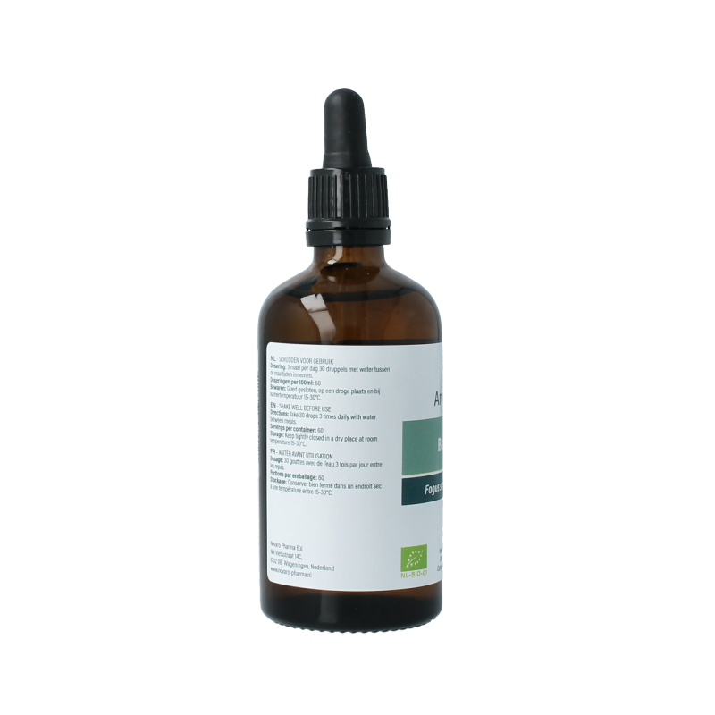 Aromedica Beuk gemmo tinctuur in 100ml bottle, herbal preparation made from organic Fagus sylvatica leaves and buds.