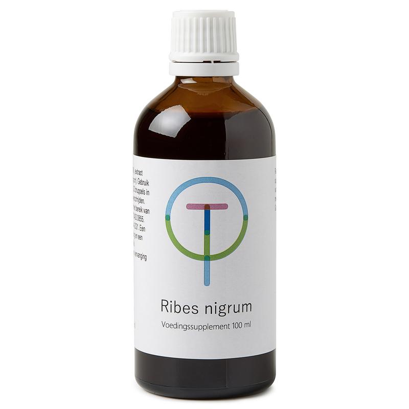Therapeutenwinkel Ribes nigrum zwarte bes kruidenpreparaat in 100ml bottle, showing dark black currant extract in a glass bottle