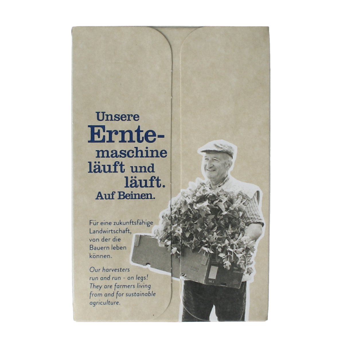 Sonnentor organic mint tea bags, 18-pack, with fresh mint leaves visible in the tea bag packaging.