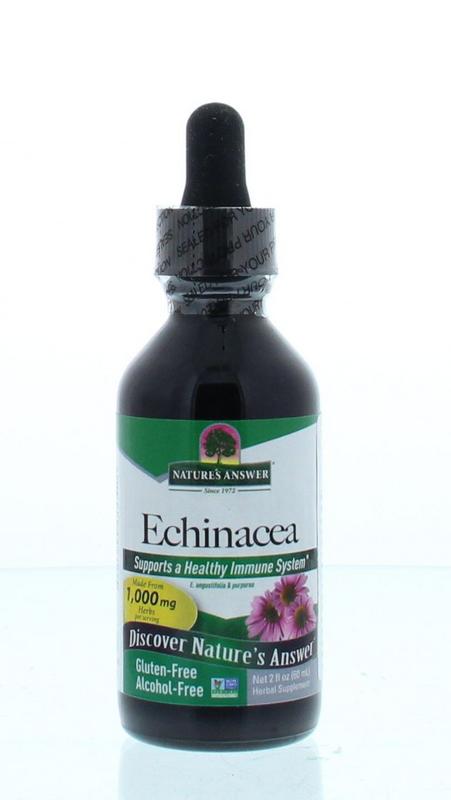 Bottle of Natures Answer Echinacea extract alcohol-free herbal supplement in a 60ml bottle, with label and cap visible.