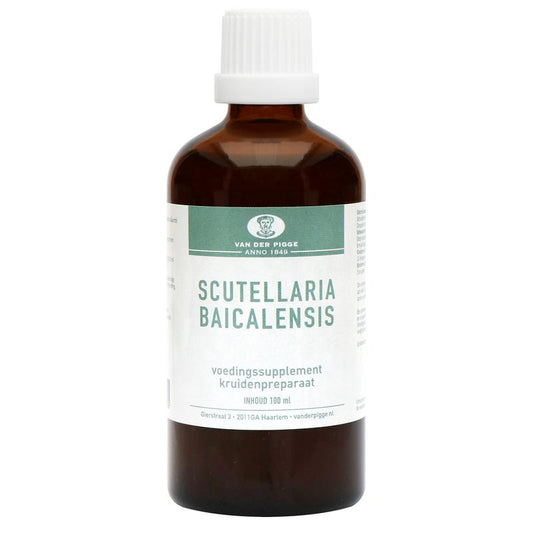 Van der Pigge Scutellaria baicelensis tincture in a 100ml bottle, part of van der Pigge herbal preparations, with label visible.