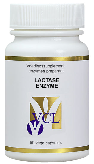 Vital Cell Life Lactase enzyme capsules in a bottle, dietary supplement designed to aid digestion of lactose.