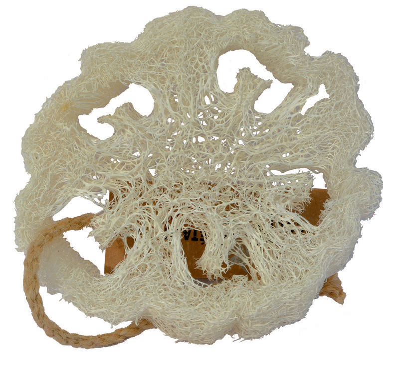 Aleppo Soap Co loofah natural body sponge, exfoliating bath scrub, 1 piece for gentle skin cleansing and refreshment.