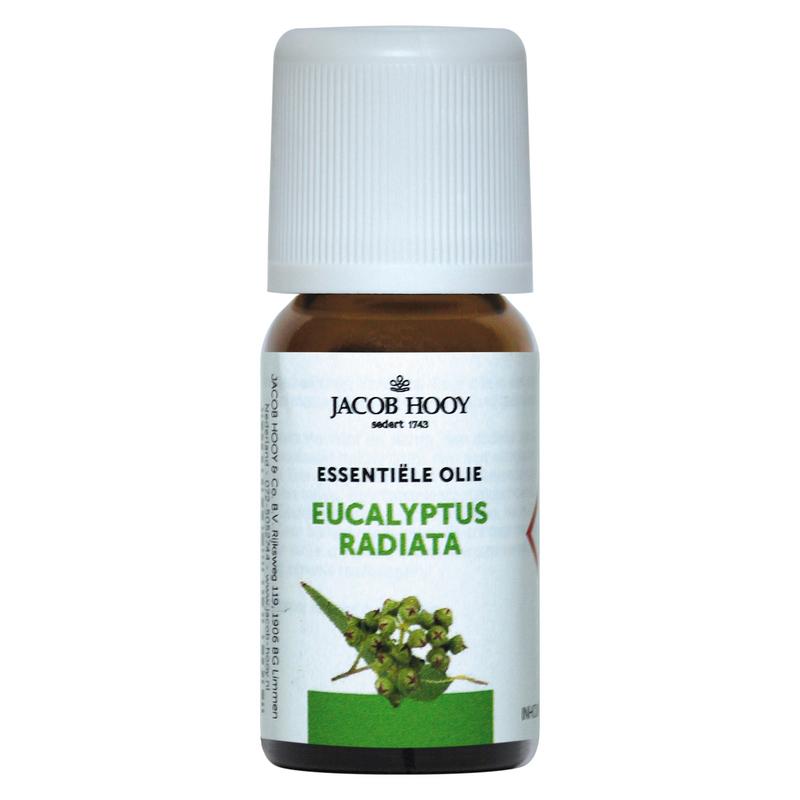 Jacob Hooy Eucalyptus radiata essential oil in a 10ml bottle, shown with the label and amber glass container.