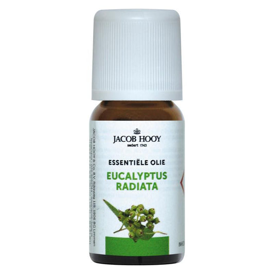 Jacob Hooy Eucalyptus radiata essential oil in a 10ml bottle, shown with the label and amber glass container.