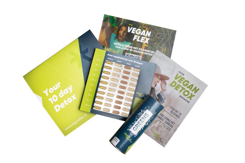 Fittergy Vegan Flex meal replacement set with three colorful powder pouches and measuring scoop on a white background