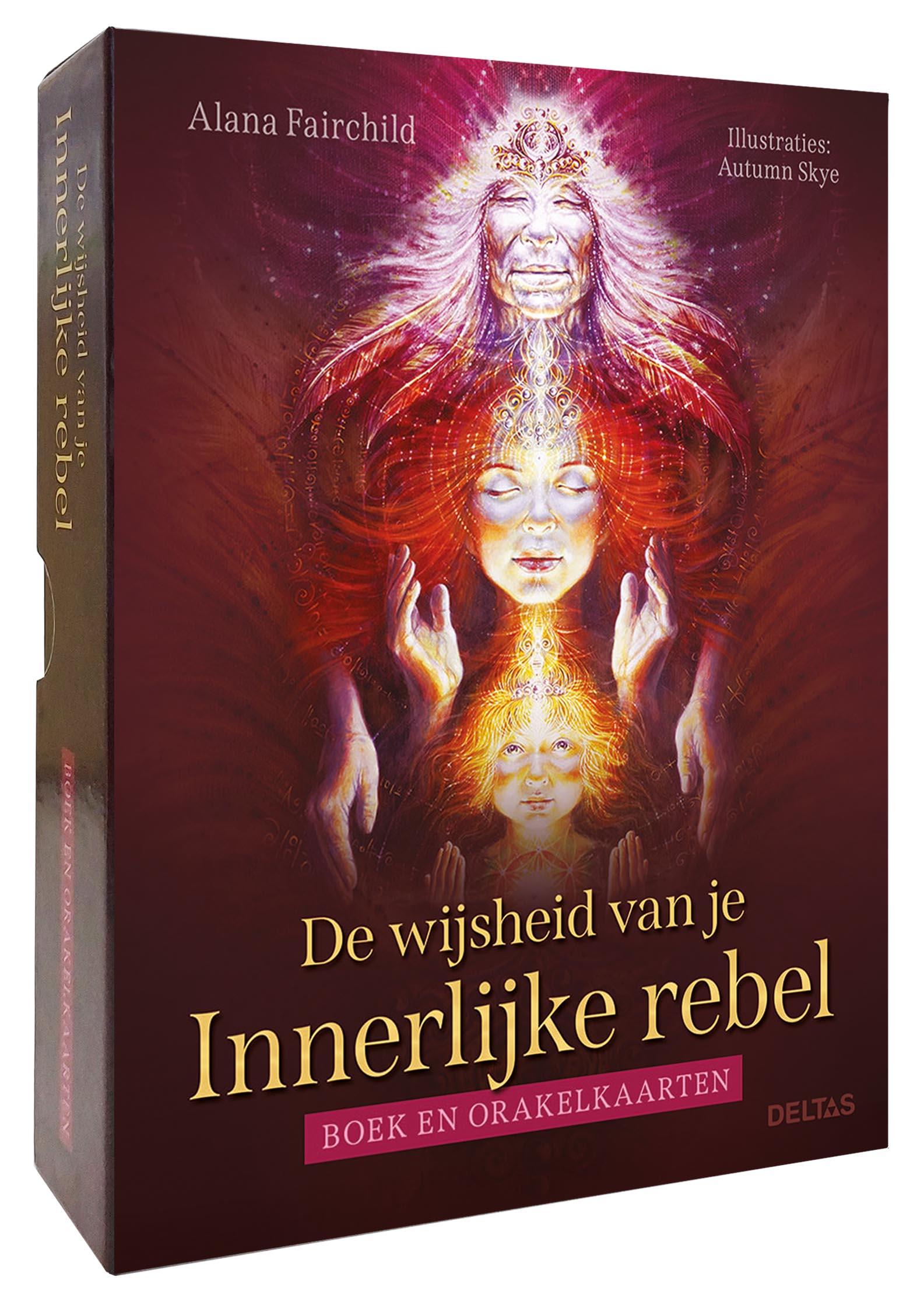 Deltas Boeken set titled "De wijsheid van je innerlijke rebel" with cover image featuring bold typography and artistic design.