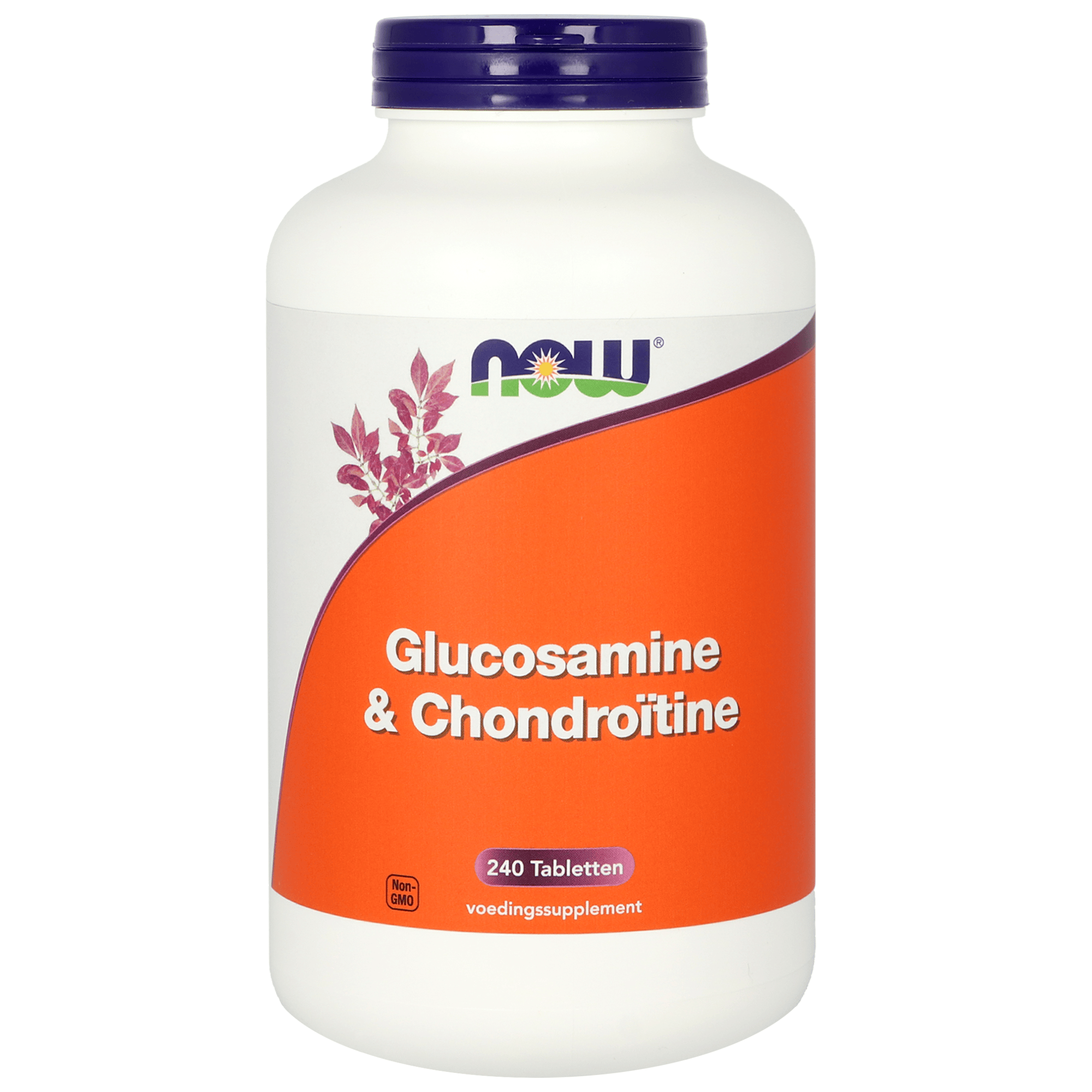 NOW Glucosamine and Chondroitin mineral supplement bottle with 240 tablets, designed to support joint health and mobility.