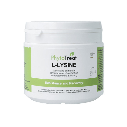 PhytoTreat L-lysine supplement for dogs and cats in 150g container, natural dietary support for pets.
